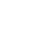 icon 1 1