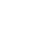 icon 1 1